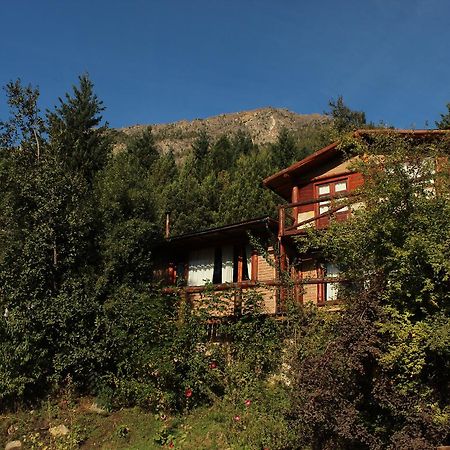 Criollo Lodge El Hoyo  Exterior photo